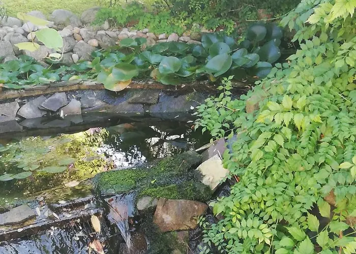 Гостевой дом Rezident Consult S.r.o.