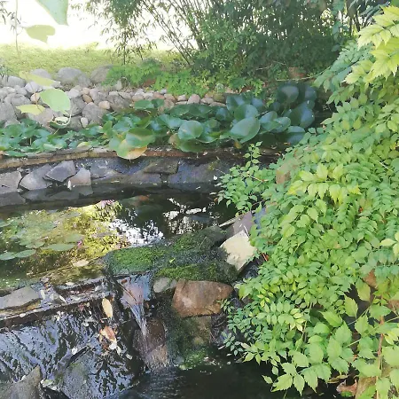 Pensionat Rezident Consult S.r.o.